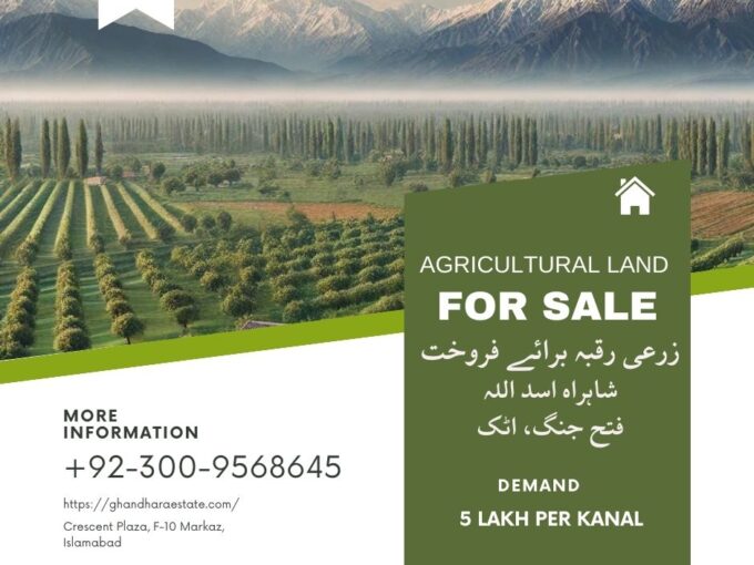 Agricultural Land for Sale in Mouza Shahra-e-Sadullah, Fateh Jang