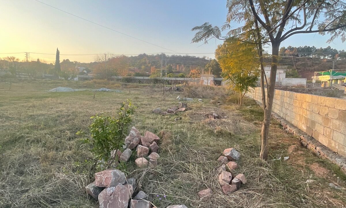 Malot Road 8