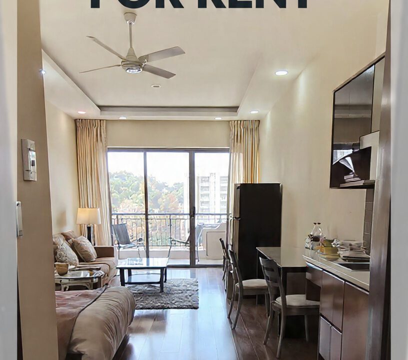 poster_for_furnished_apartment_for_rent_in (2)