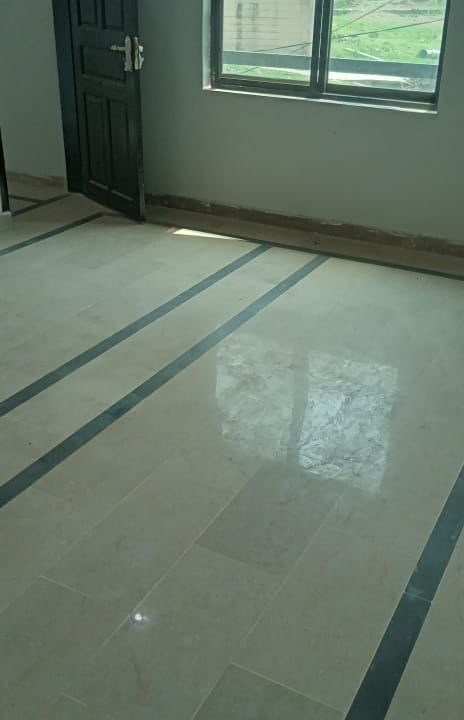 5d34110f-2c24-4d04-8c09-f6064706c35e