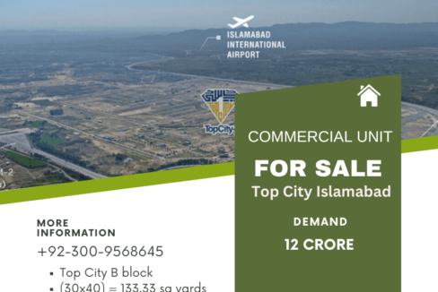 Commercial Plaza for Sale