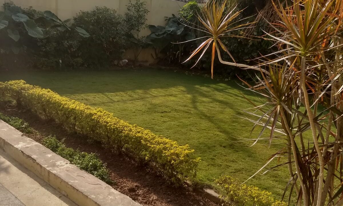 WhatsApp Image 2025-12-05 at 11.21.00