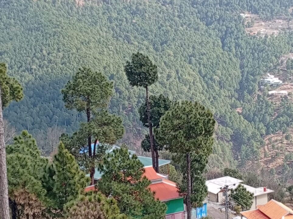 c1374b3e-116a-4e7f-b297-f776cbbccfd7