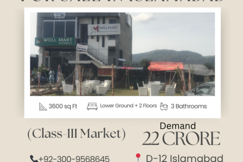 Commercial Property for Sale D-12