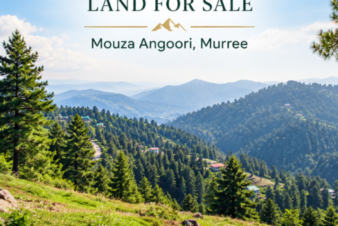 Land for Sale in Mouza Angoori, Murree – 65 Kanal