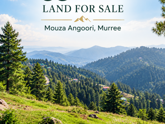 Land for Sale in Mouza Angoori, Murree – 65 Kanal